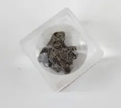 پنج قطعه شهاب سنگ «کامپو دل سیلو» - موسسه طبیعت آسمان شب | فروشگاه تلسکوپ دوچشمی میکروسکوپ