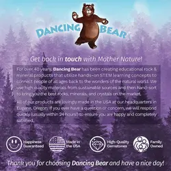 پنج قطعه شهاب سنگ «کامپو دل سیلو» - موسسه طبیعت آسمان شب | فروشگاه تلسکوپ دوچشمی میکروسکوپ