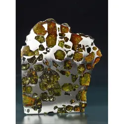 شهابسنگ کمیاب برش خورده Pallasite - موسسه طبیعت آسمان شب | فروشگاه تلسکوپ دوچشمی میکروسکوپ