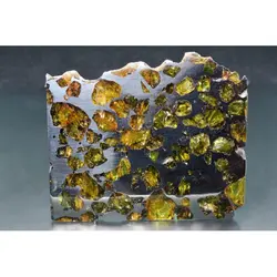 شهابسنگ کمیاب برش خورده Pallasite - موسسه طبیعت آسمان شب | فروشگاه تلسکوپ دوچشمی میکروسکوپ
