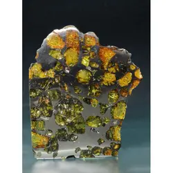 شهابسنگ کمیاب برش خورده Pallasite - موسسه طبیعت آسمان شب | فروشگاه تلسکوپ دوچشمی میکروسکوپ
