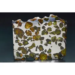 شهابسنگ کمیاب برش خورده Pallasite - موسسه طبیعت آسمان شب | فروشگاه تلسکوپ دوچشمی میکروسکوپ