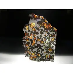 شهابسنگ کمیاب برش خورده Pallasite - موسسه طبیعت آسمان شب | فروشگاه تلسکوپ دوچشمی میکروسکوپ
