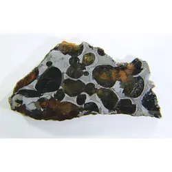 شهابسنگ کمیاب برش خورده Pallasite - موسسه طبیعت آسمان شب | فروشگاه تلسکوپ دوچشمی میکروسکوپ