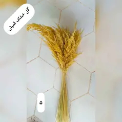 گل خشک قمیش
