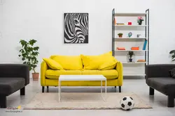 استیکر دیواری گور خر