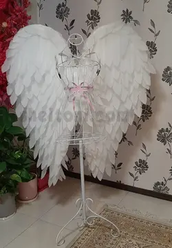 بال فرشته سفید بزرگ درجه یک