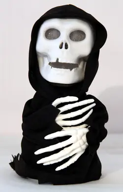 اسکلت سخنگو سنسوردار