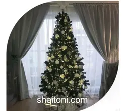 درخت کاج کریسمس علفی اورجینال سایزبندی