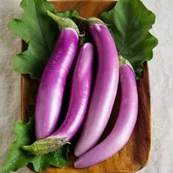 بذر بادمجان بلند بنفش چینی