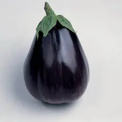 بذر بادمجان قلمی
