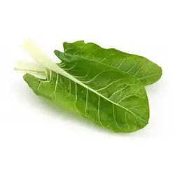 بذر برگ چغندر سفید