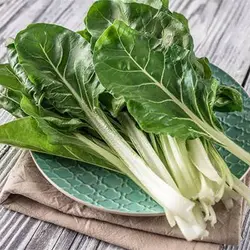 بذر برگ چغندر سفید