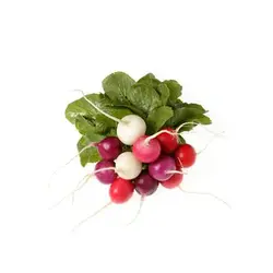 بذر تربچه میکس 7 رنگ