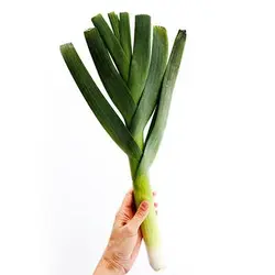 بذر تره فرنگی پا بلند