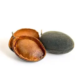 بذر تمبر هندی مخملی