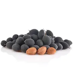 بذر تمبر هندی مخملی