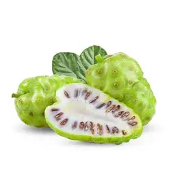 بذر توت هندی