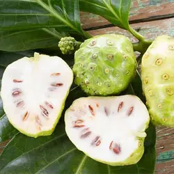 بذر توت هندی