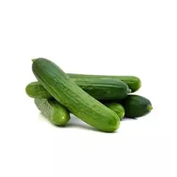 بذر خیار جالیز اصفهان (غیر درختی)