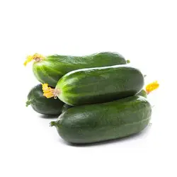 بذر خیار جالیز اصفهان (غیر درختی)