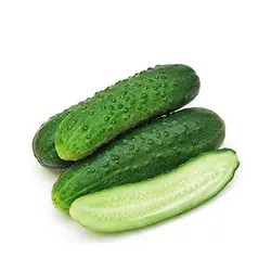 بذر خیار سبز معطر خاردار هیبرید