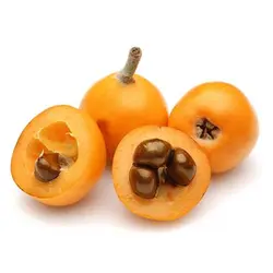 بذر درخت ازگیل ژاپنی