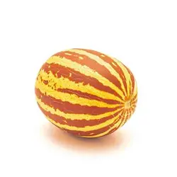 بذر دست انبو