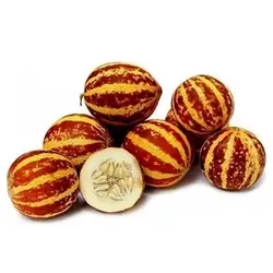 بذر دست انبو