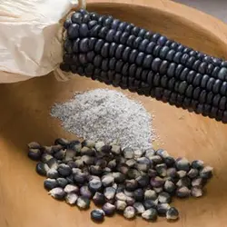 بذر ذرت آبی پترسون