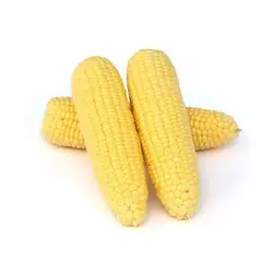 بذر ذرت شیرین کوتوله
