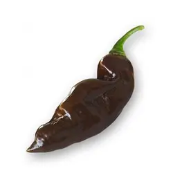 بذر فلفل چارلیستون شکلاتی