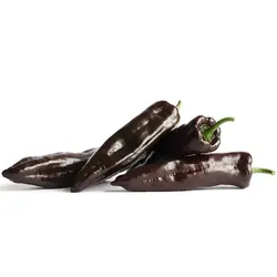 بذر فلفل چارلیستون شکلاتی