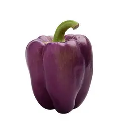 بذر فلفل دلمه ای بنفش