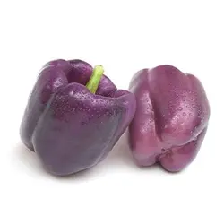 بذر فلفل دلمه ای بنفش