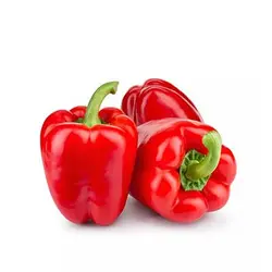 بذر فلفل دلمه ای قرمز