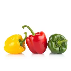 بذر فلفل دلمه ای میکس