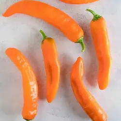 بذر فلفل سانتافه نارنجی