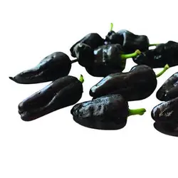 بذر فلفل کوبانله سیاه