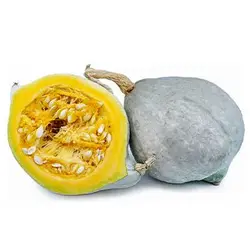 بذر کدو تنبل آبی هیوبارد