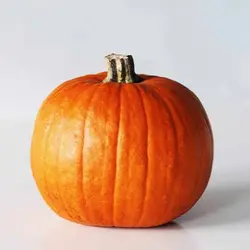 بذر کدو تنبل (کدو حلوایی)