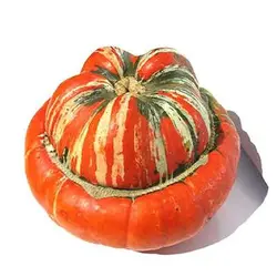 بذر کدو تنبل توربن ها