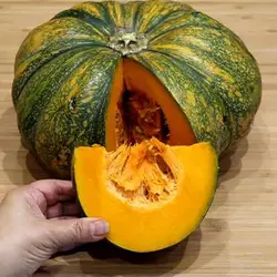 بذر کدو تنبل کاریبین