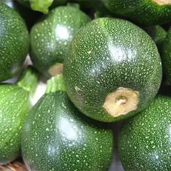 بذر کدو توپی سبز تیره