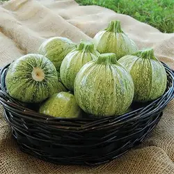 بذر کدو خورشتی رندی