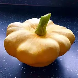 بذر کدو ستاره ای نارنجی