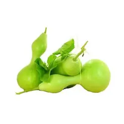 بذر کدو قلیانی