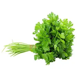 بذر گشنیز