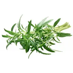 بذر مرزه برگ پهن