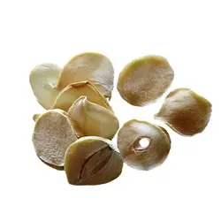 بذر موسیر